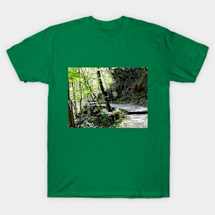 Pathways Collection 2 T-Shirt